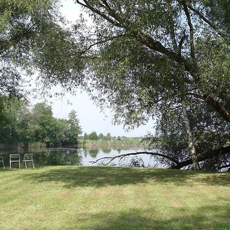 Ferienwohnungen Im Kunst.Haus Am See Doberlug-Kirchhain Екстериор снимка