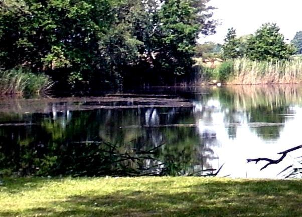 Ferienwohnungen Im Kunst.Haus Am See Doberlug-Kirchhain Екстериор снимка