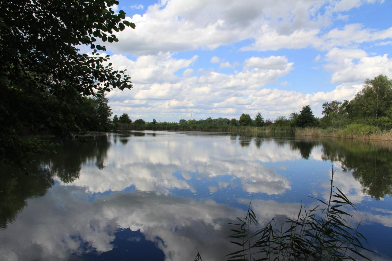 Ferienwohnungen Im Kunst.Haus Am See Doberlug-Kirchhain Екстериор снимка